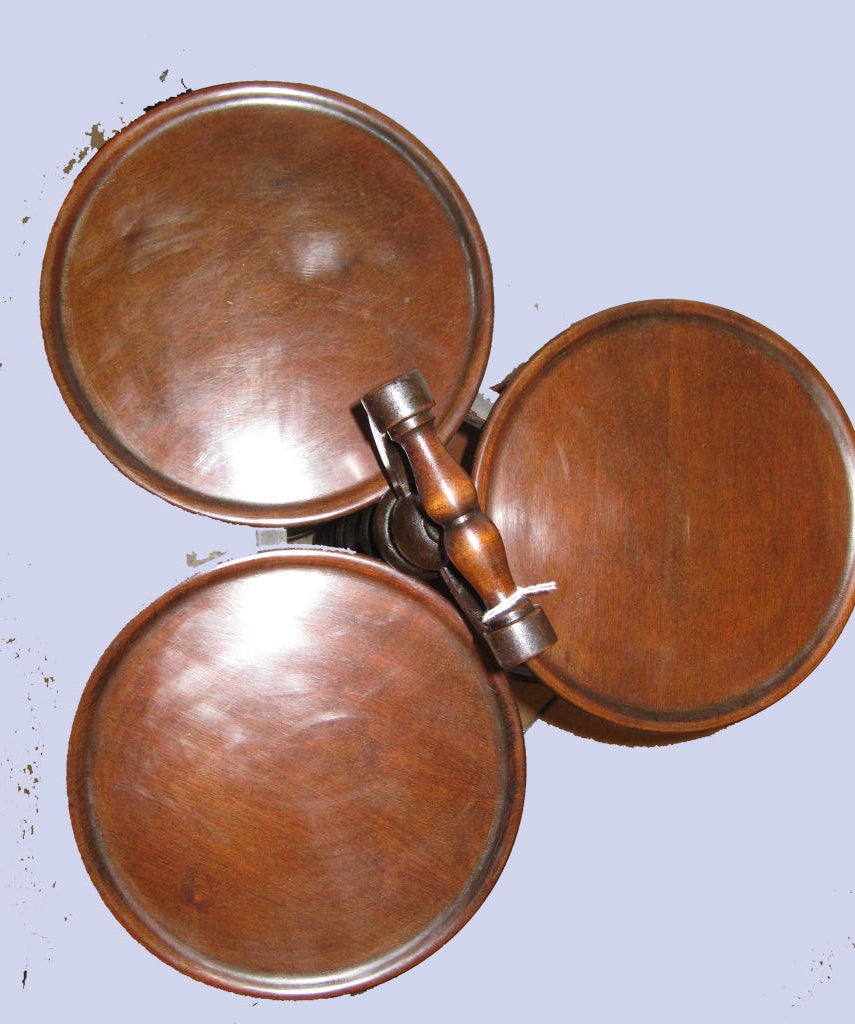 English Victorian Mahogany Nine-Tray Plate Stand
