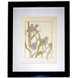 Vintage ART NOUVEAU  BOTANICAL PRINT