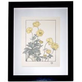 Vintage ART NOUVEAU  BOTANICAL PRINT
