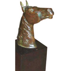 "Head Of A Horse" by Eli Harvey