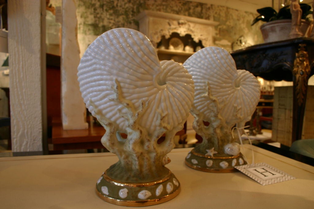 Pair of Nautilus Shell Spill Vases