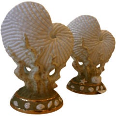 Pair of Nautilus Shell Spill Vases