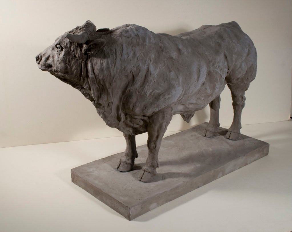 Contemporary sculpture of a bull with his head inclined slightly to one side standing on a plinth. Modelled after the French breed of  cattle the 'Blonde d'Aquitaine" a large breed of dairy cattle known for their large muscled hind quarters.