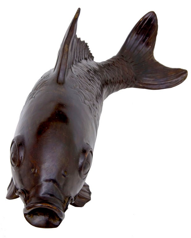 Bronze Koi Karpfen