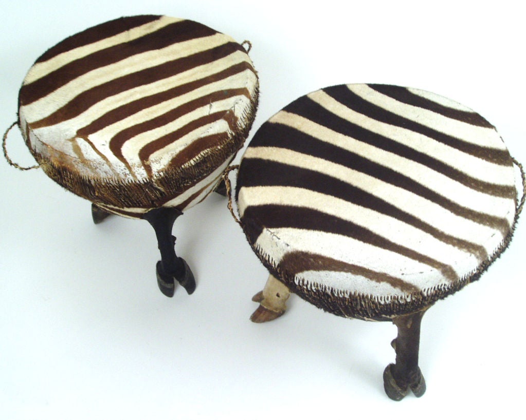 a fantastic pair of African Zebra Drum Tables....these are genuine zebra hide with hoof legs. the perfect accent for a variety of interiors. they are great as occasional tables. unique, individual and classic.