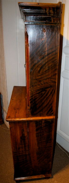 Painted 19th Century Cupboard from Lavtia 1