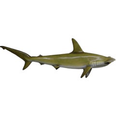 Vintage Taxidermied Hammerhead Shark