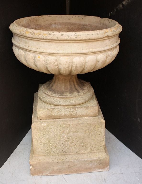 A large and impressive English garden urn in the Classical style featuring a cylindrical, semi-lobed body on square base set upon a raised plinth with chamfered top and base.
Potted in terra cotta and featuring a lovely patina from age and