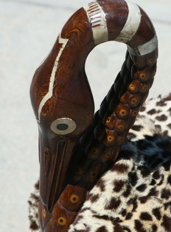 reviva ibis photos