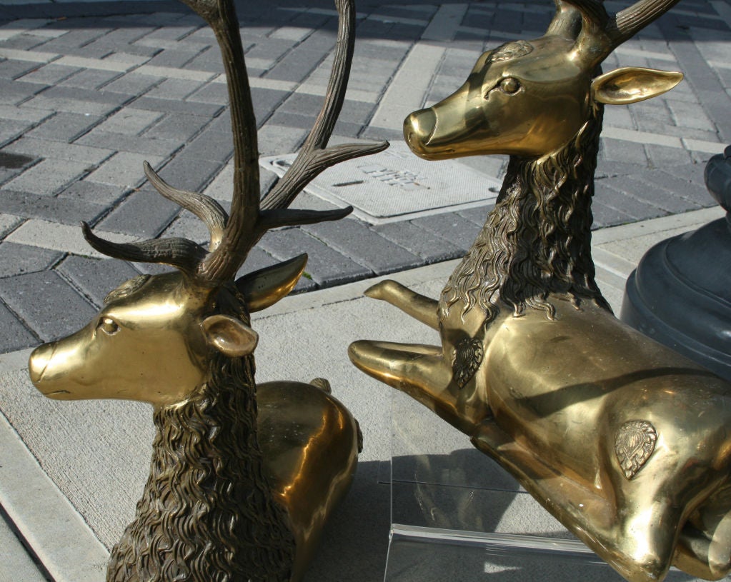 solid brass deer