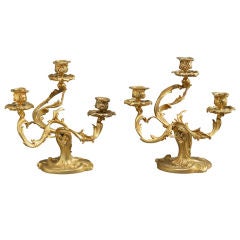 Pair of French gilded candelabras