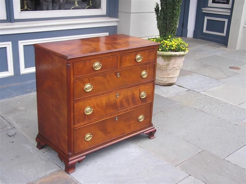 American Cherry five drawer chest of drawers with a carved molded edge top, flanking fluted quarter columns, original brasses, and terminating on the original ogee bracket feet. Virginia, Late 18th Century.