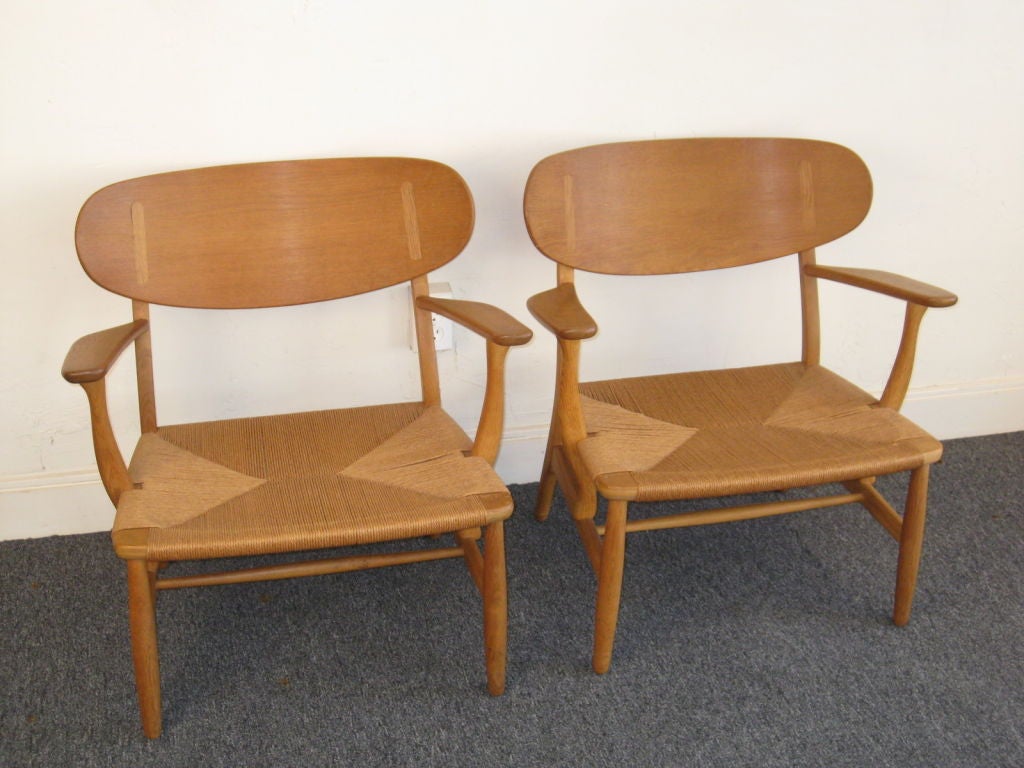 wegner ch22