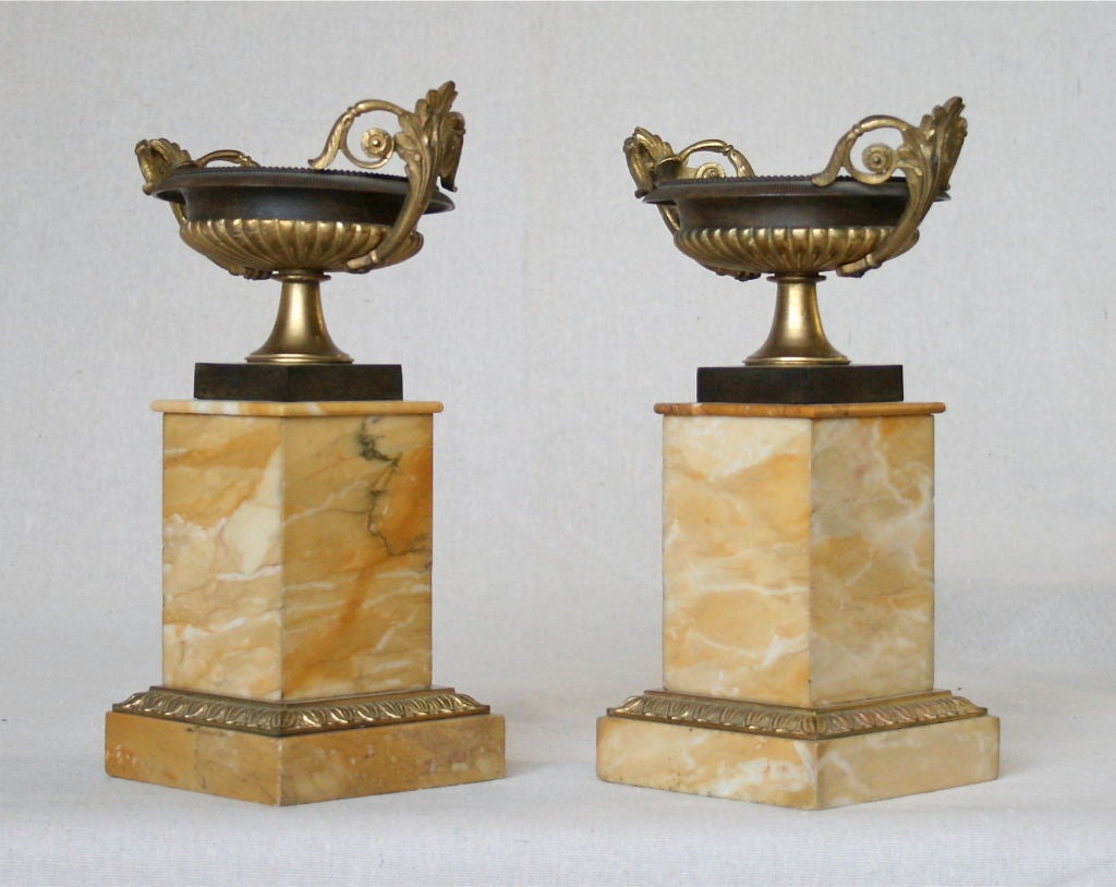 Pair of patinated-bronze tazza mounted on stepped rectangular Sienna marble plinths cast with leaf-tip border.