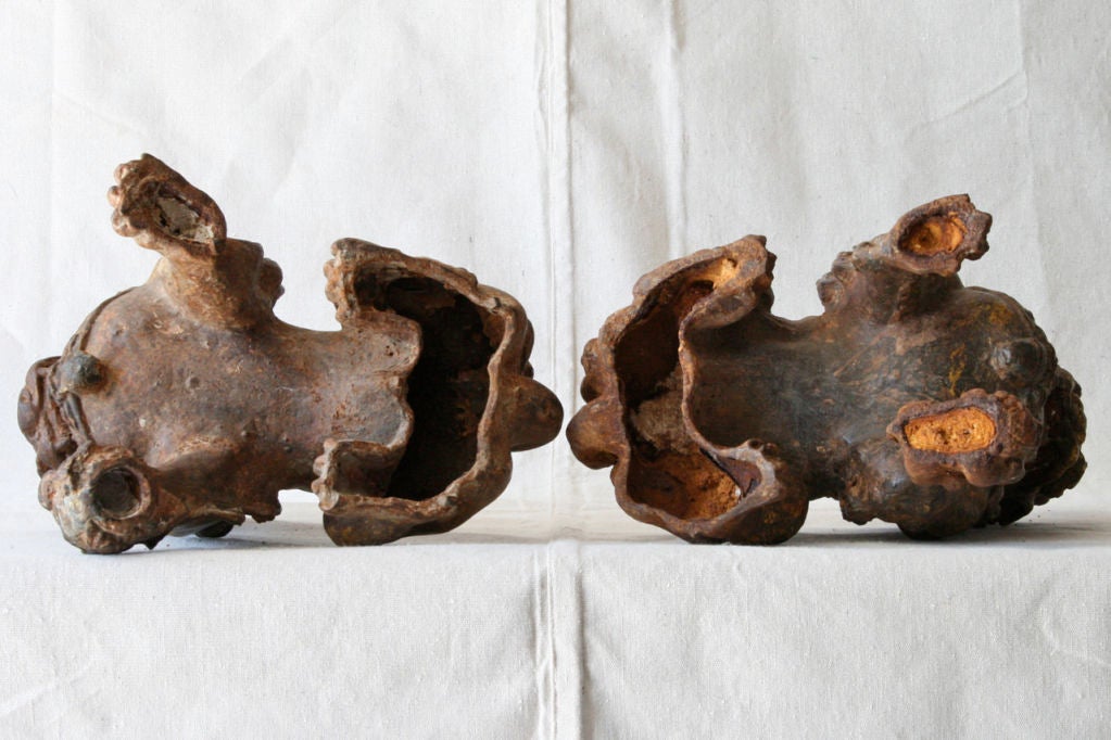 Pair of Cast Iron Foo Dogs 4