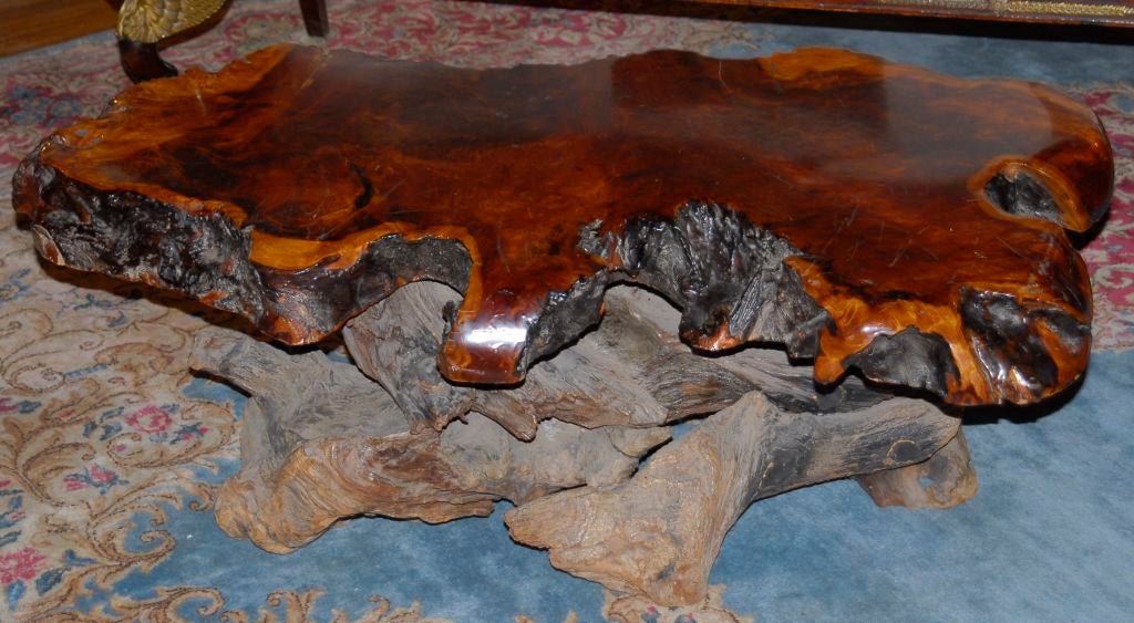 A polished midcentury burl redwood coffee table of two parts