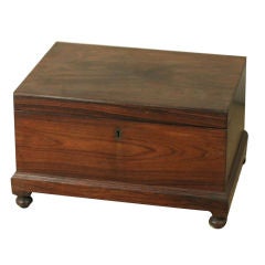 Anglo-Indian Rosewood Cashbox on Feet