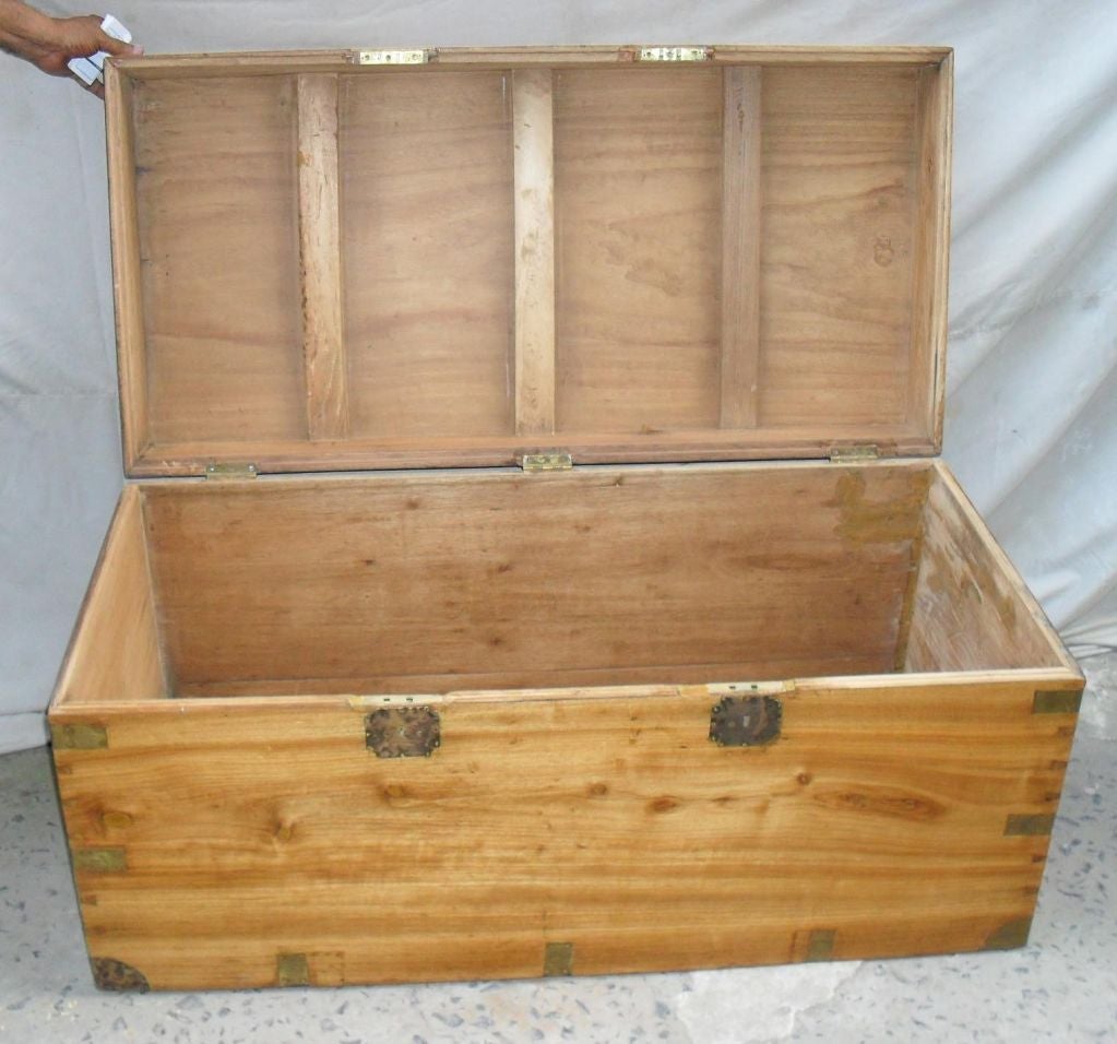 British Colonial Camphor Wood Chest with Brass Hardware 3