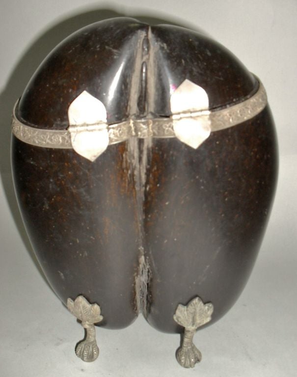 Indian Coco de Mer Box with Silver Mounts and Feet For Sale