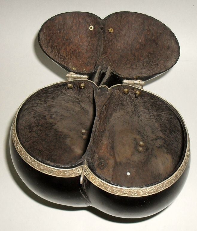 19th Century Coco de Mer Box with Silver Mounts and Feet For Sale