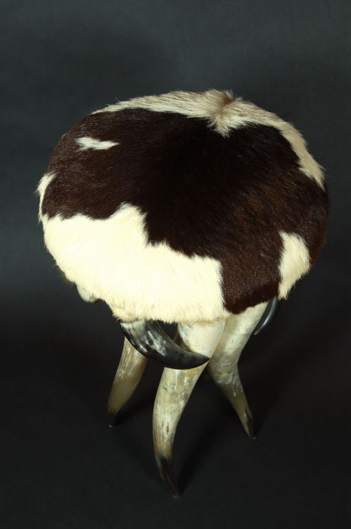 Beautiful designer quality western bull Horn and cowhide stool.