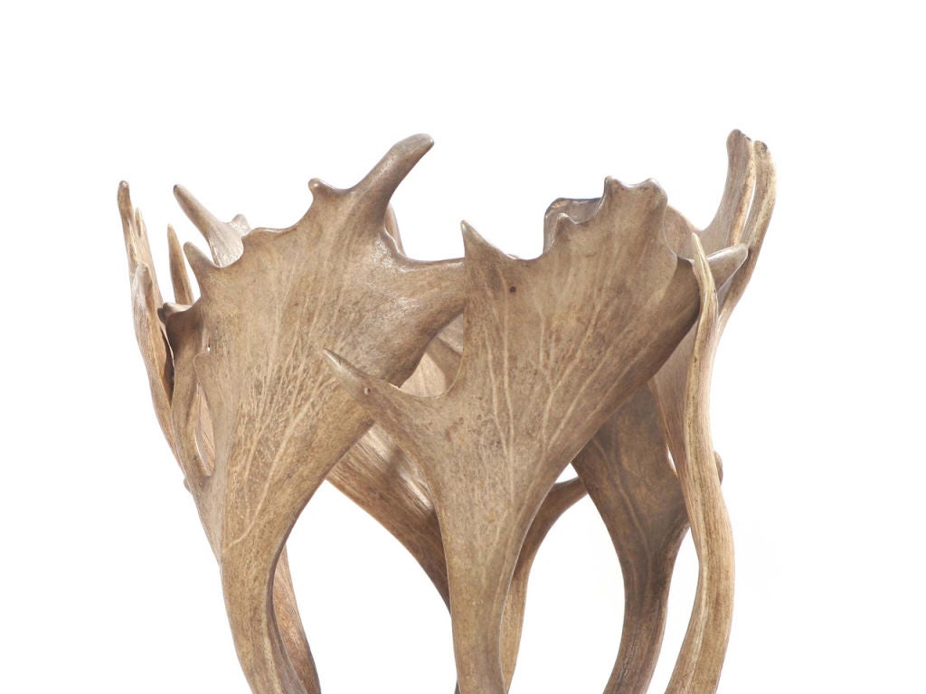 Caribou Antler Vase