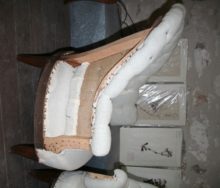 Pair of Napoleonic Arm Chairs