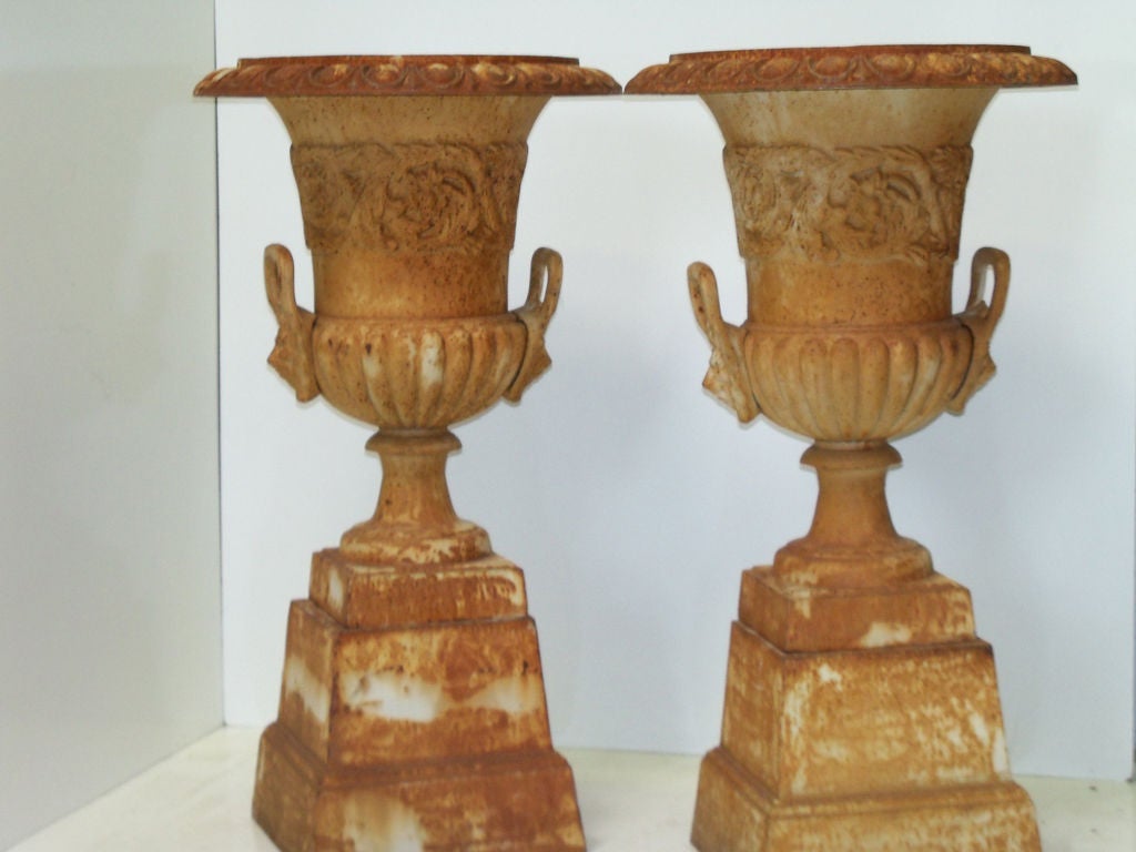 Pair of Urns with Rossette and Lion Ornamentation