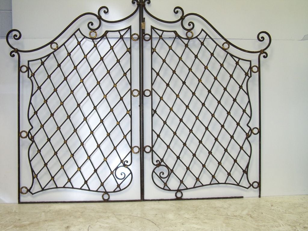 Elegant Wrought Iron Gate Panels