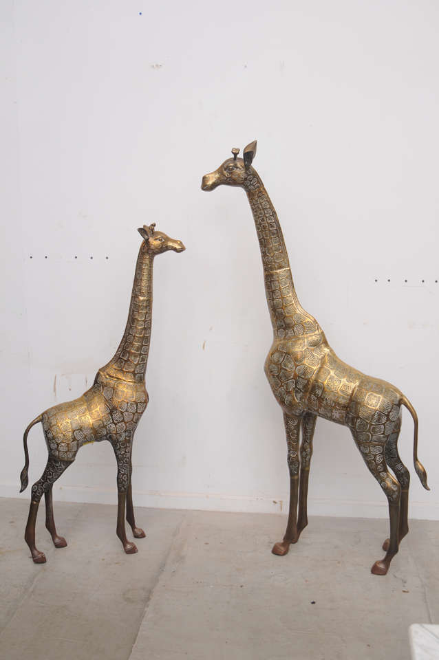Pair of Giraffes