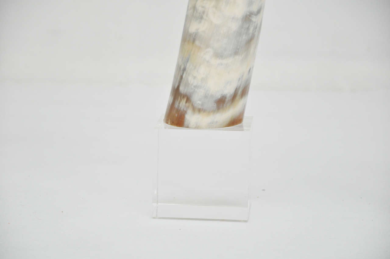 Steer Longhorns on Lucite 1