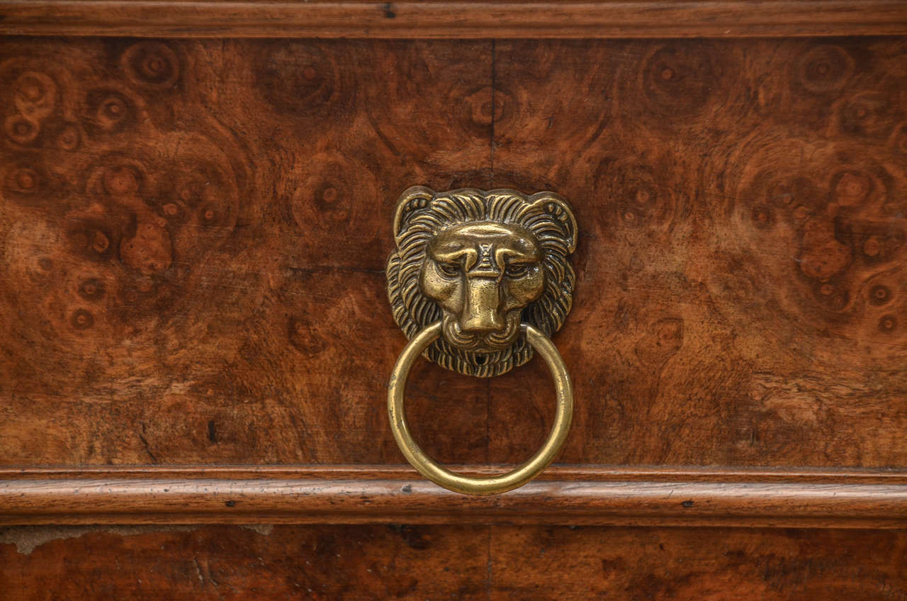 19th Century Louis Philippe Commode in Walnut with Brass Lion Pulls In Excellent Condition In Sag Harbor, NY