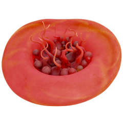 Modern Free Form Red Glass Sculpture by Roger Tye, Phoenix Hot Glass.