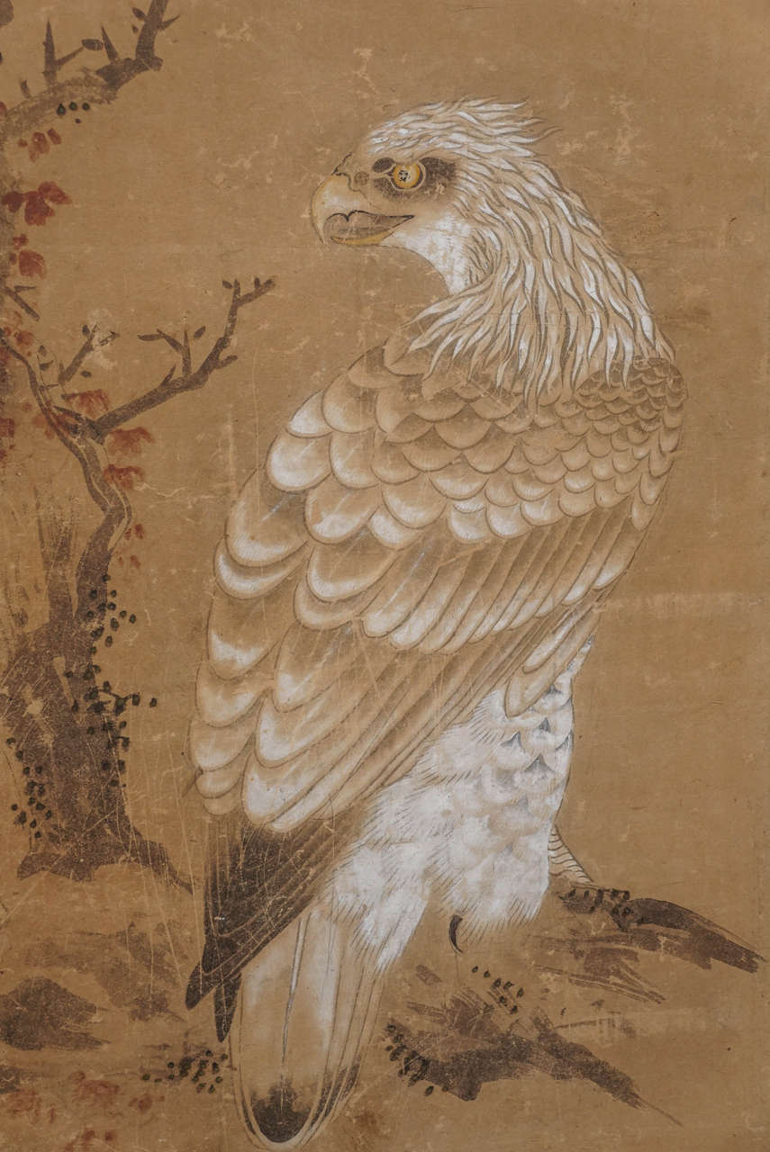 Painted Japanese Screen with Hawks For Sale