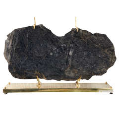 1970s Mounted Fossil