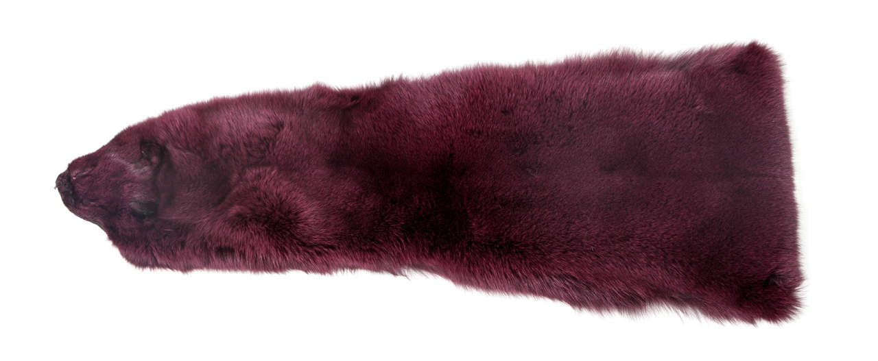 Beautiful burgundy fox wrap to wear or display on your club chair. Full skin.
Fox skin comes from Sweden.