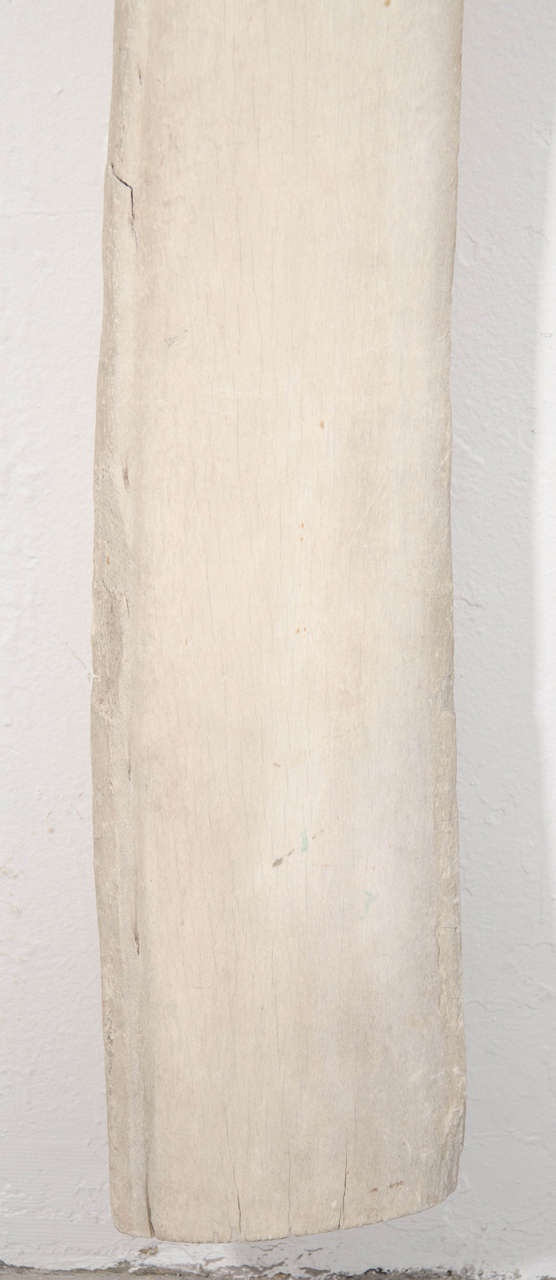 Monumental Wall-Mounted Whale Bone In Excellent Condition In New York, NY