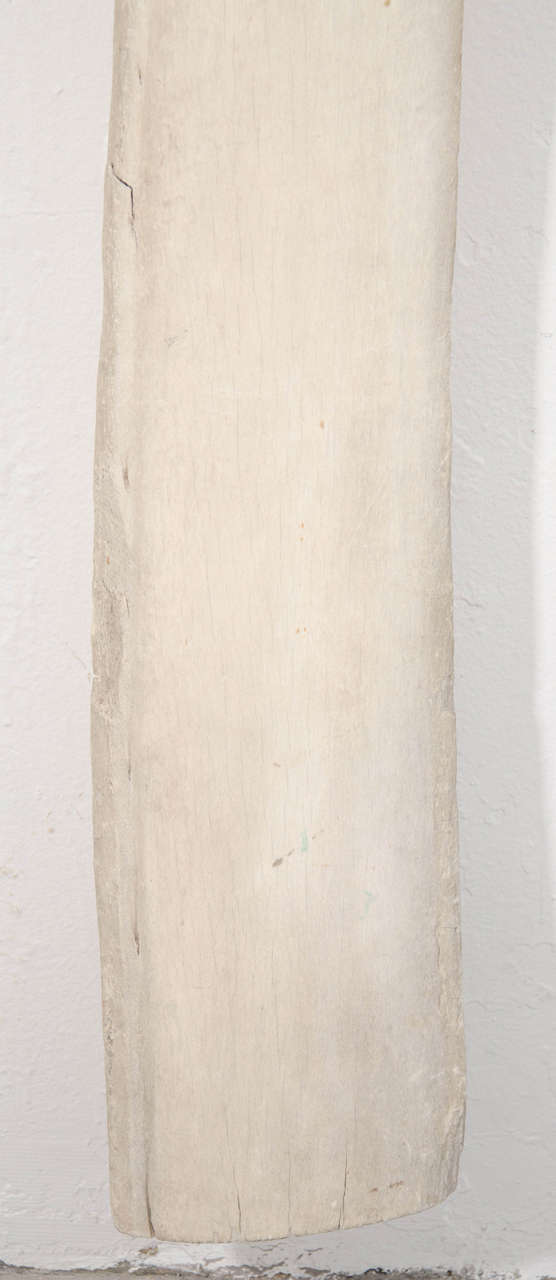 Monumental Wall-Mounted Whale Bone In Excellent Condition In New York, NY