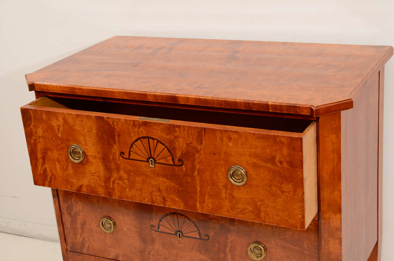 19th Century A Petite Biedermeier Chest