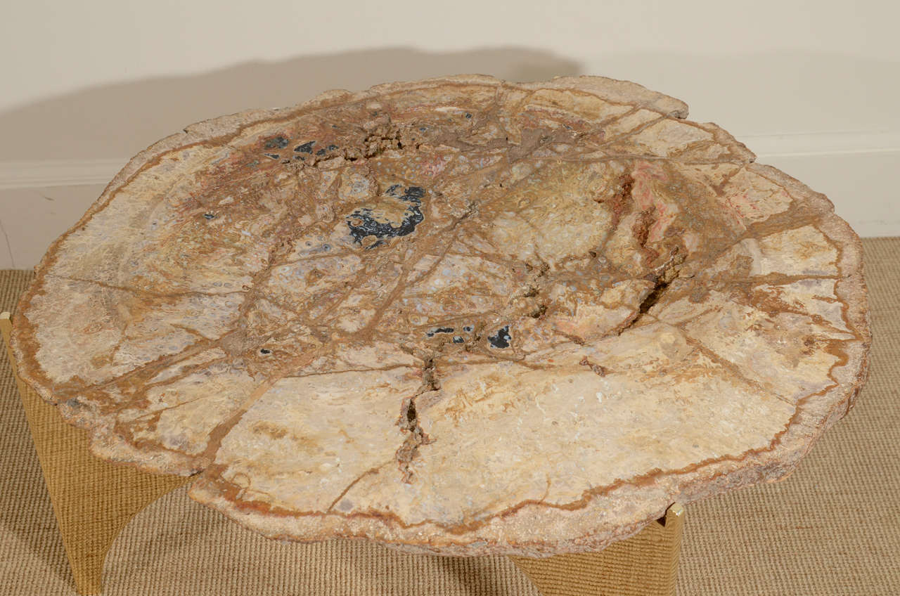 18th Century and Earlier A Petrified Palm Wood and Bronze Occasional Table.