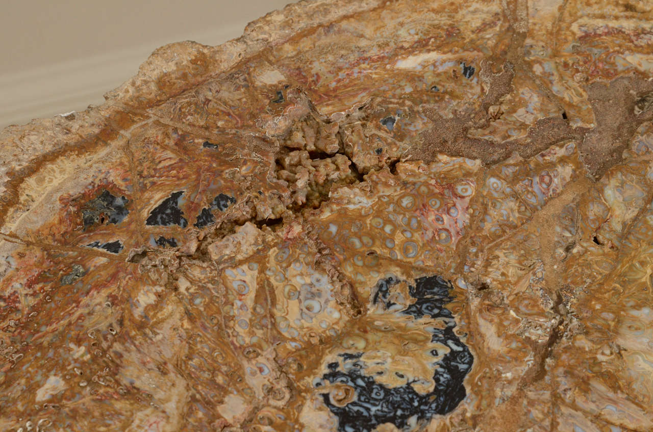 Stone A Petrified Palm Wood and Bronze Occasional Table.