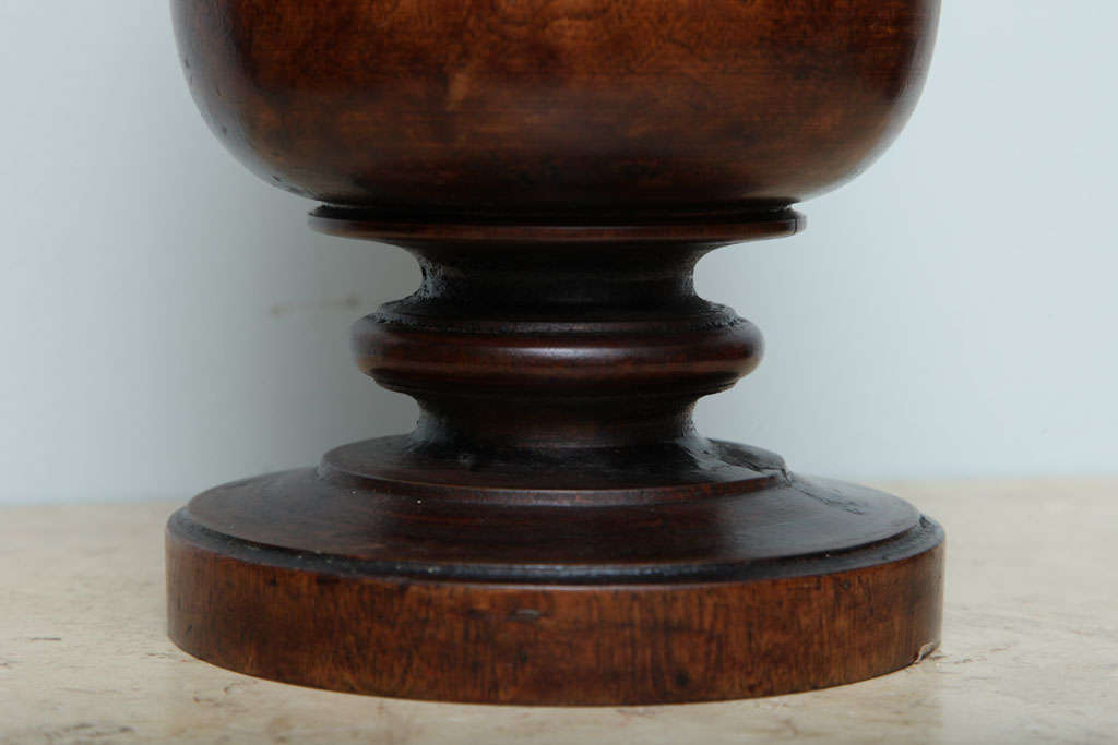 English 19th Century Lignum Vitae Mortar and Pestle 2