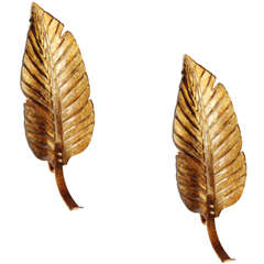 Tall Leaf Form Amber Lucite and Gilded metal Sconces