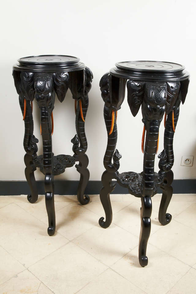 Pair of selettes with three elephant heads, blackwood.
French work, circa 1880, Chinese inspiration.
Very decorative.