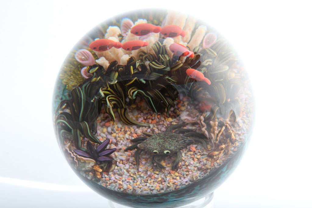 Cathy Richardson Magnum Sea Life Paperweight 2