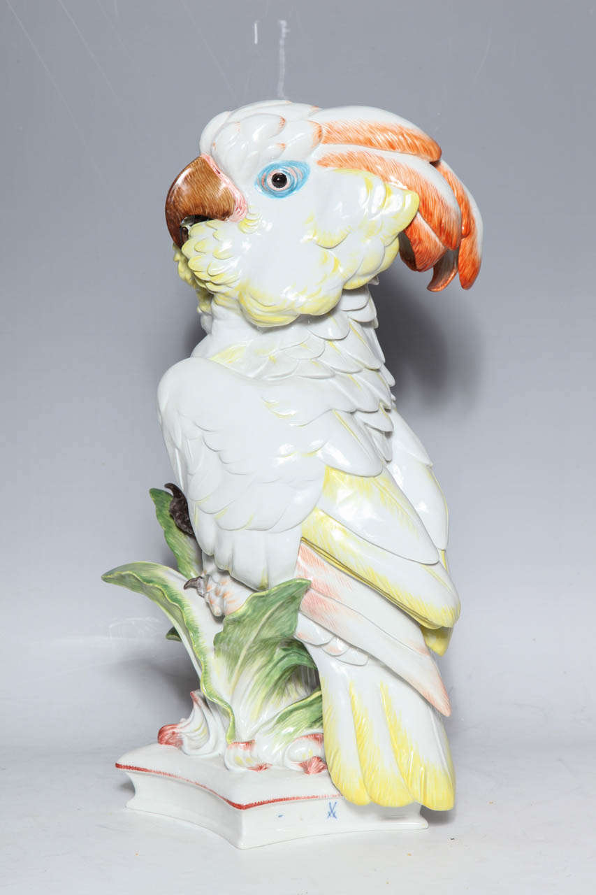 porcelain cockatoo