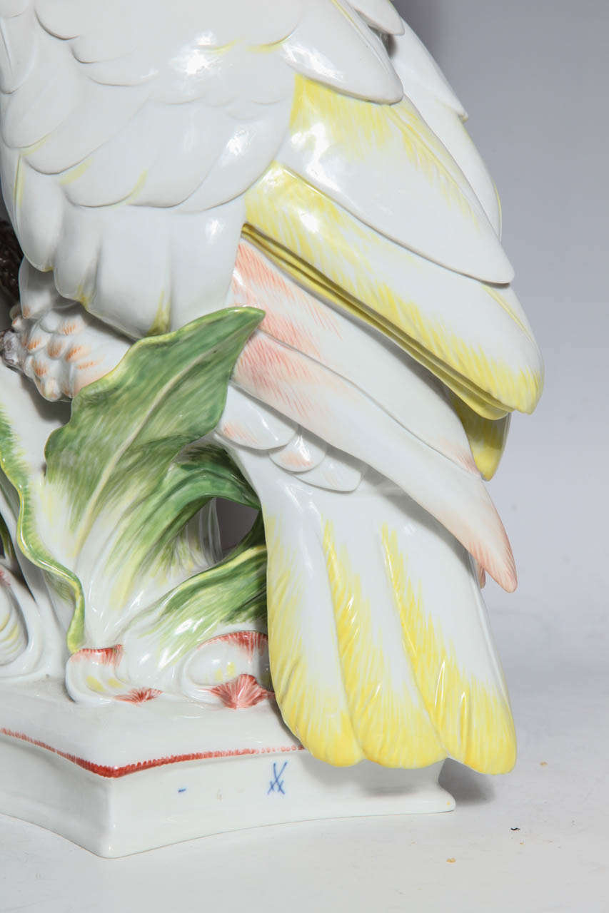 Large Meissen Porcelain Model of a Cockatoo In Excellent Condition In New York, NY