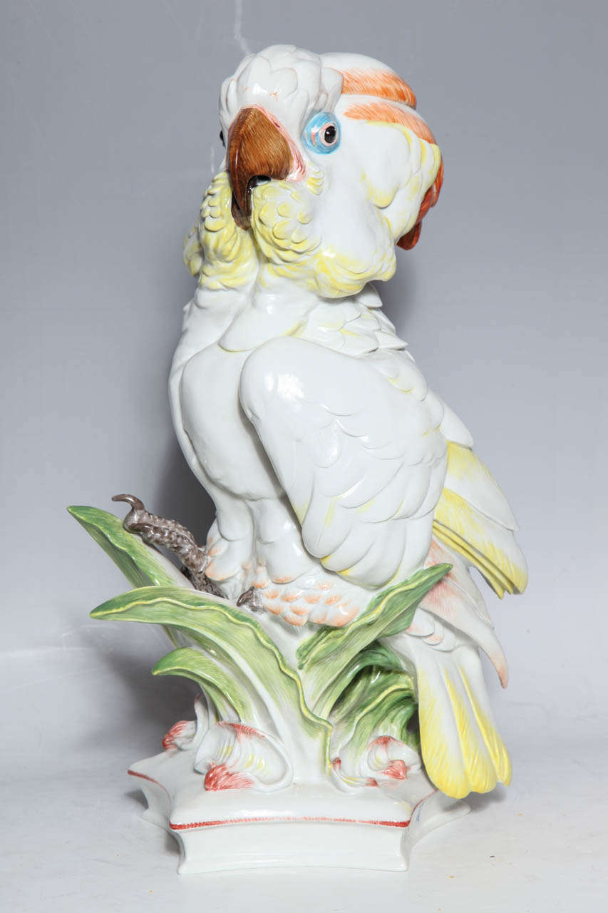 Mid-20th Century Large Meissen Porcelain Model of a Cockatoo