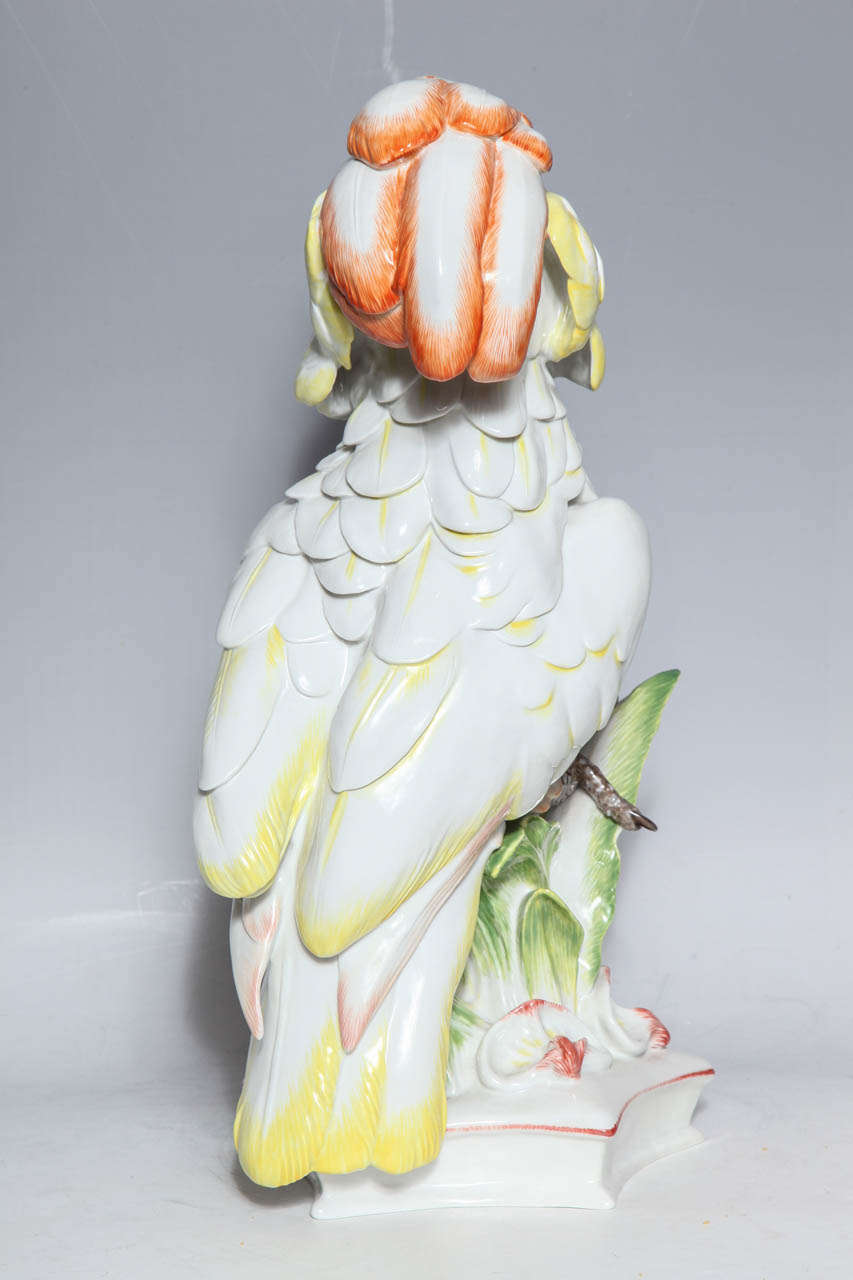 Large Meissen Porcelain Model of a Cockatoo 2