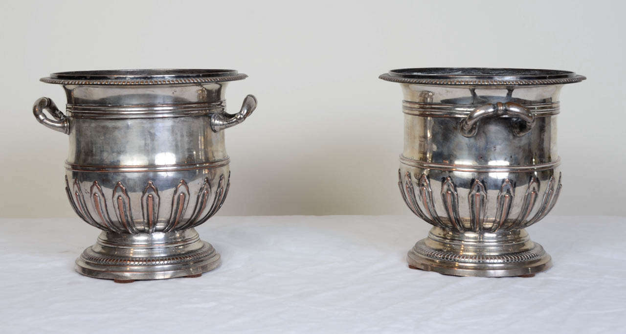 Pair of copper plated cooler buckets with carved and gadrooned body, applique motif and two side handles.